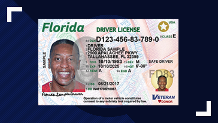 Florida drivers license renewal
